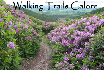 Walking-Trails