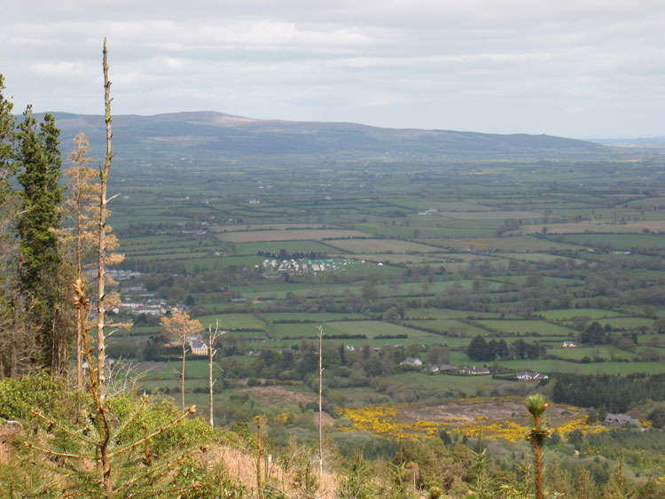 Clogheen and Galtee Mountains